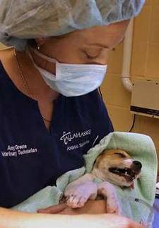 Student extern holds a dog